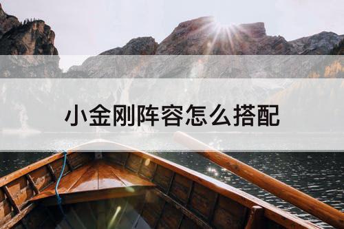 小金刚阵容怎么搭配