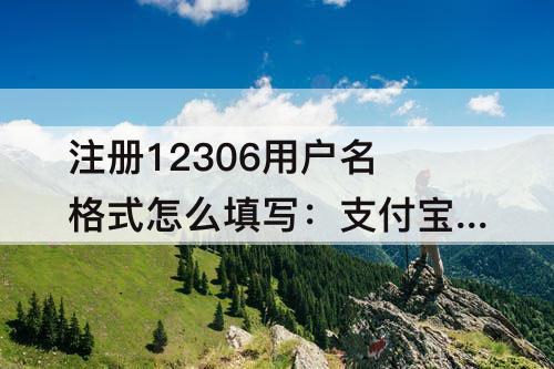 注册12306用户名格式怎么填写：支付宝注册12306用户名格式怎么填写