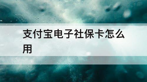 支付宝电子社保卡怎么用