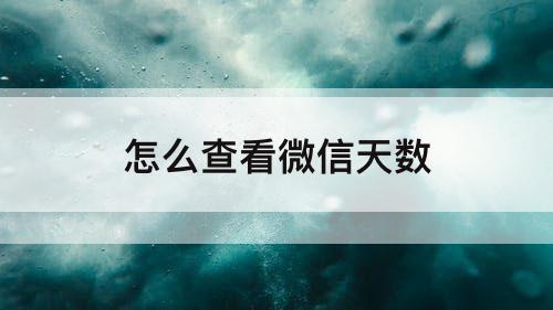 怎么查看微信天数