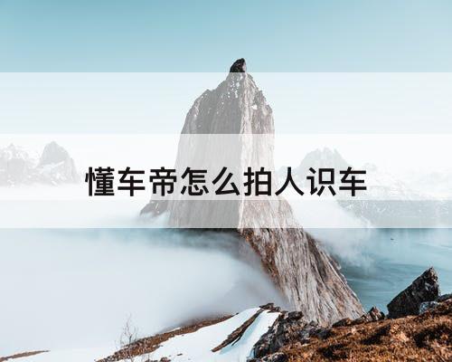 懂车帝怎么拍人识车