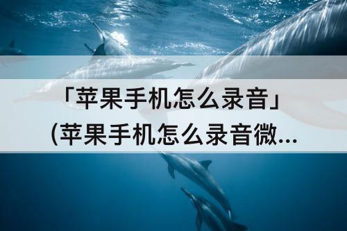 「苹果手机怎么录音」(苹果手机怎么录音微信通话)