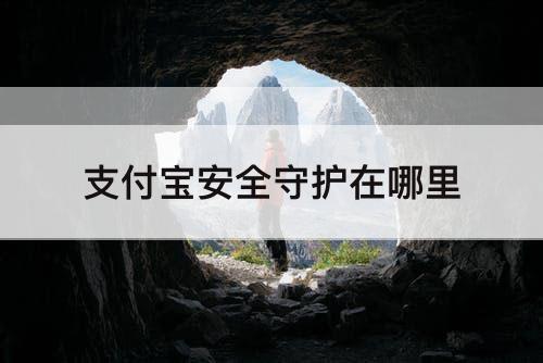 支付宝安全守护在哪里