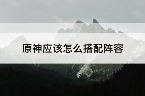 原神应该怎么搭配阵容