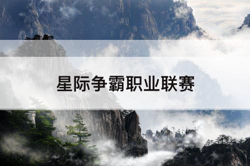 星际争霸职业联赛