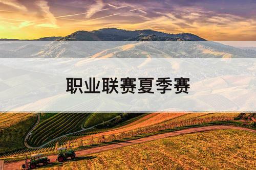 职业联赛夏季赛