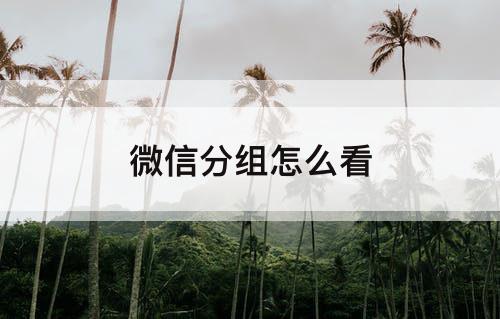 微信分组怎么看