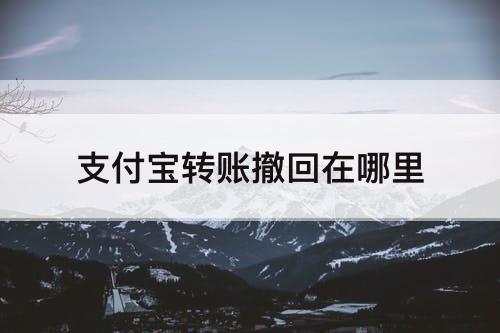 支付宝转账撤回在哪里