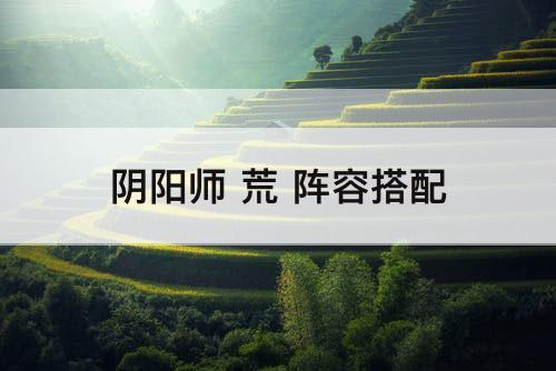 阴阳师 荒 阵容搭配