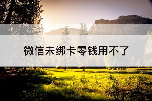 微信未绑卡零钱用不了
