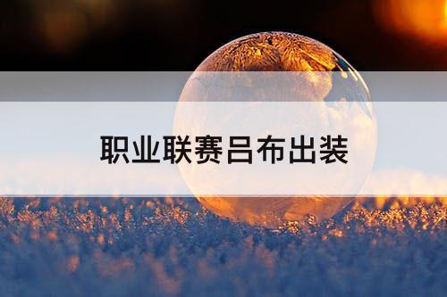 职业联赛吕布出装
