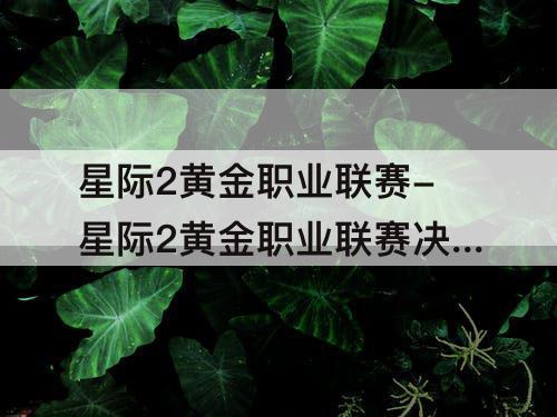 星际2黄金职业联赛-星际2黄金职业联赛决赛视频