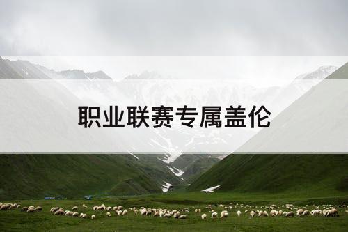 职业联赛专属盖伦