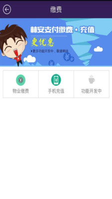 林安支付