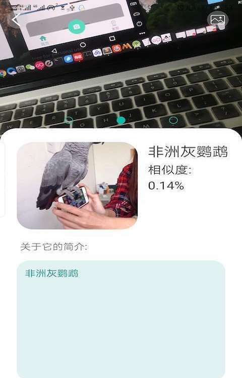 天天识别安卓版