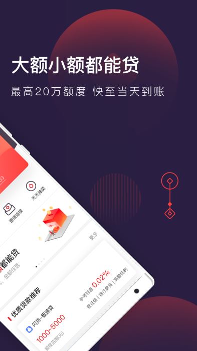 大王贷款手机版  v1.1.0图5