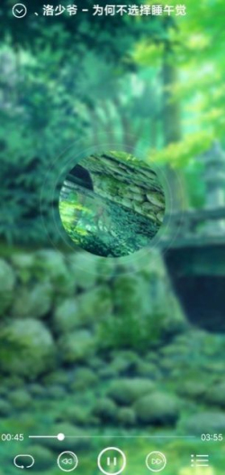 本地音乐播放器app下载安装  v1.9图1