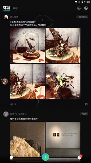 13号怪异岛免费版