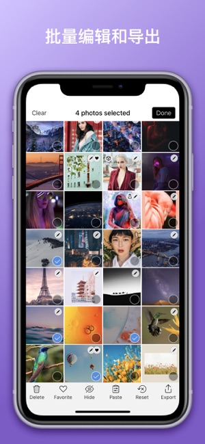网球人2024  v1.0.0图4
