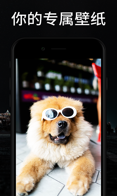 焕彩桌面免费下载软件安装苹果版  v1.0.1图3