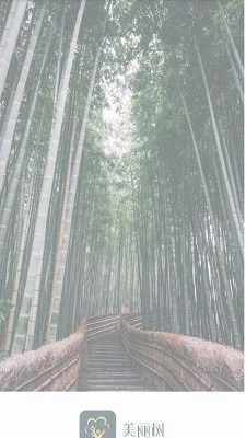 美丽树手机版  v2.3图3