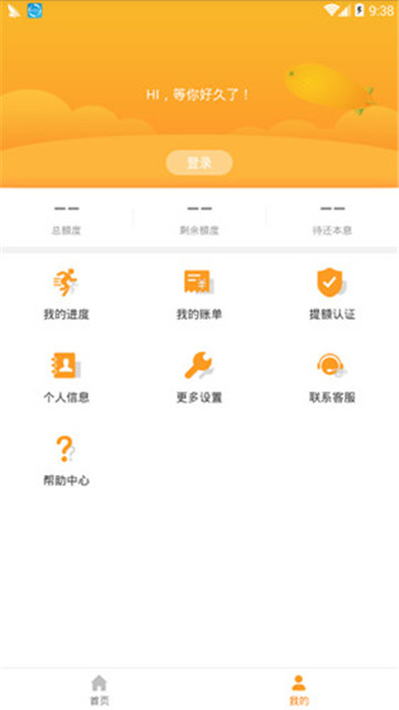 武汉金米金服