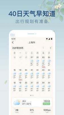 雨日天气  v1.0.0图2