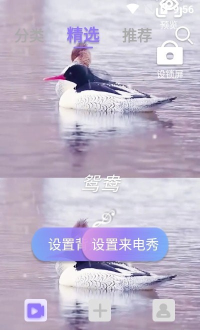 视频铃声来电秀2024