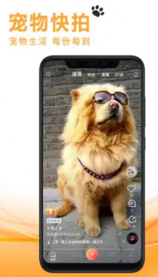 宠友社交最新版下载安装苹果  v1.0.7图2