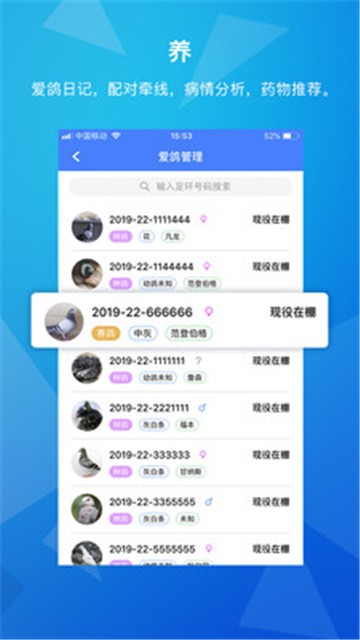 天下鸽谱最新版  v1.1.5图1