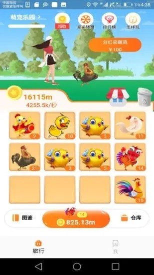 鸡行天下  v1.0图1
