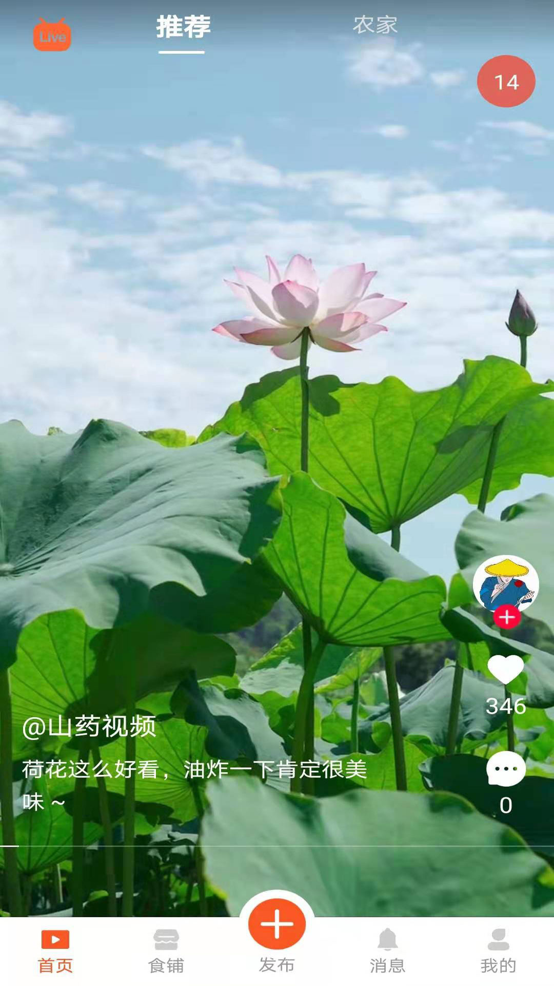 食客江湖app下载  v1.4.1图3