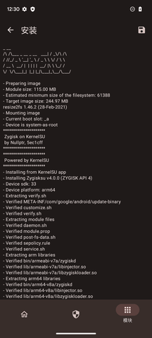 kernelSU模块卡开机  v0.3.6图2