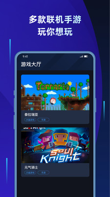 蒲公英联机平台下载安装  v1.2图3
