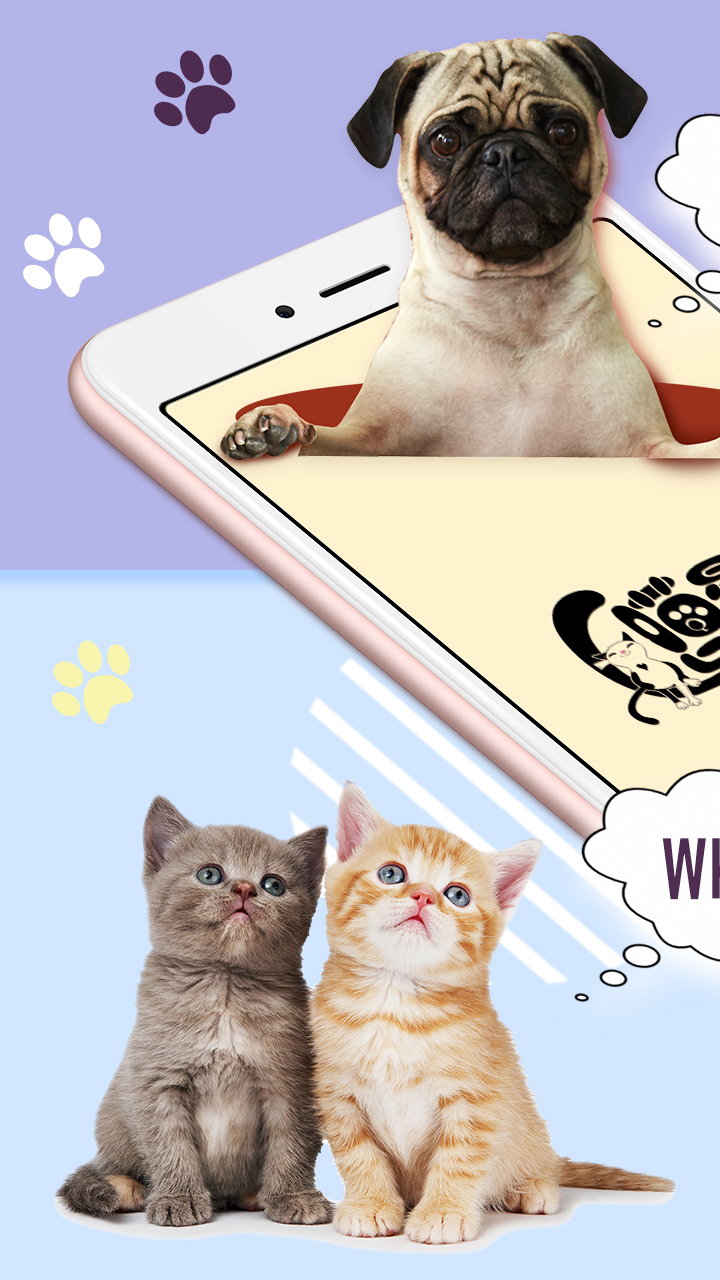 猫狗语翻译器最新版  v2.0图2